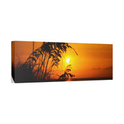 Beach Sunset Sea Oats - Classic Stretched Canvas-01 - Shore-n-Decor