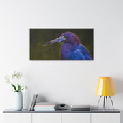 Night Heron - Classic Stretched Canvas-01 - Shore-n-Decor