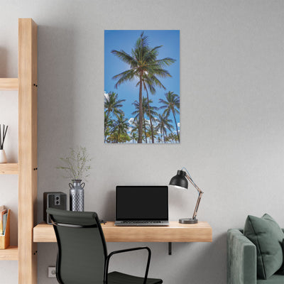 Palm Trees - Classic Stretched Canvas-01 - Shore-n-Decor