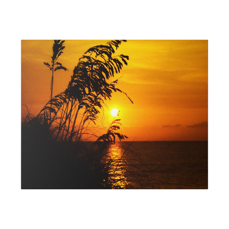 Beach Sunset Sea Oats - Classic Stretched Canvas-01 - Shore-n-Decor