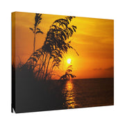 Beach Sunset Sea Oats - Classic Stretched Canvas-01 - Shore-n-Decor