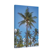 Palm Trees - Classic Stretched Canvas-01 - Shore-n-Decor