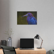 Night Heron - Classic Stretched Canvas-01 - Shore-n-Decor