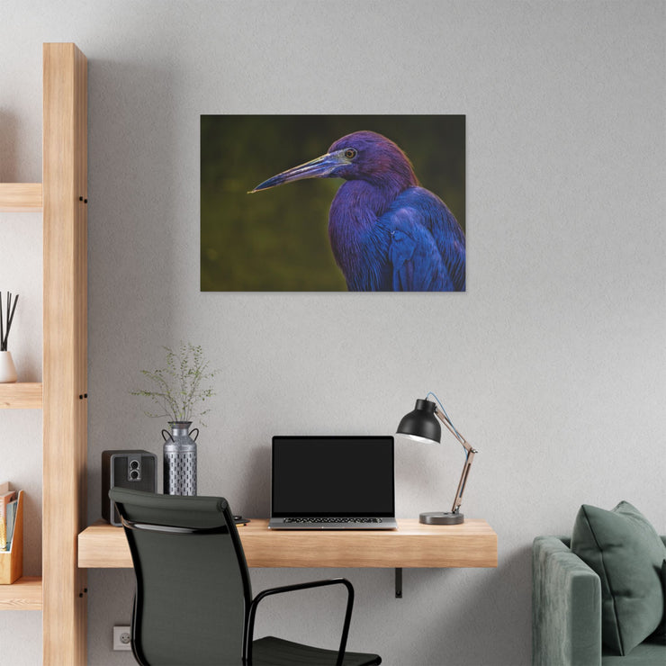 Night Heron - Classic Stretched Canvas-01 - Shore-n-Decor