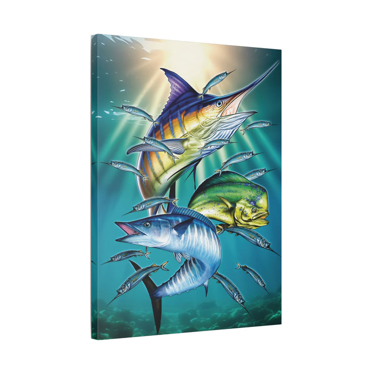 Sport Fish - Classic Stretched Canvas-01 - Shore-n-Decor