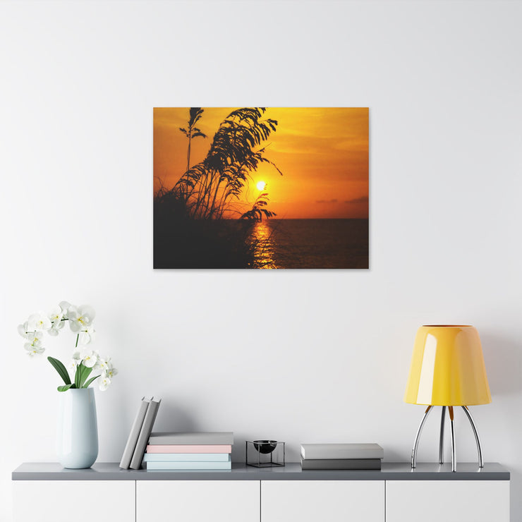 Beach Sunset Sea Oats - Classic Stretched Canvas-01 - Shore-n-Decor