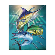 Sport Fish - Classic Stretched Canvas-01 - Shore-n-Decor