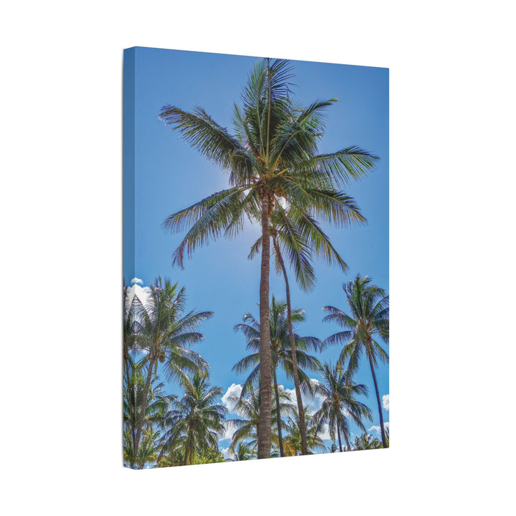 Palm Trees - Classic Stretched Canvas-01 - Shore-n-Decor