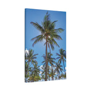 Palm Trees - Classic Stretched Canvas-01 - Shore-n-Decor