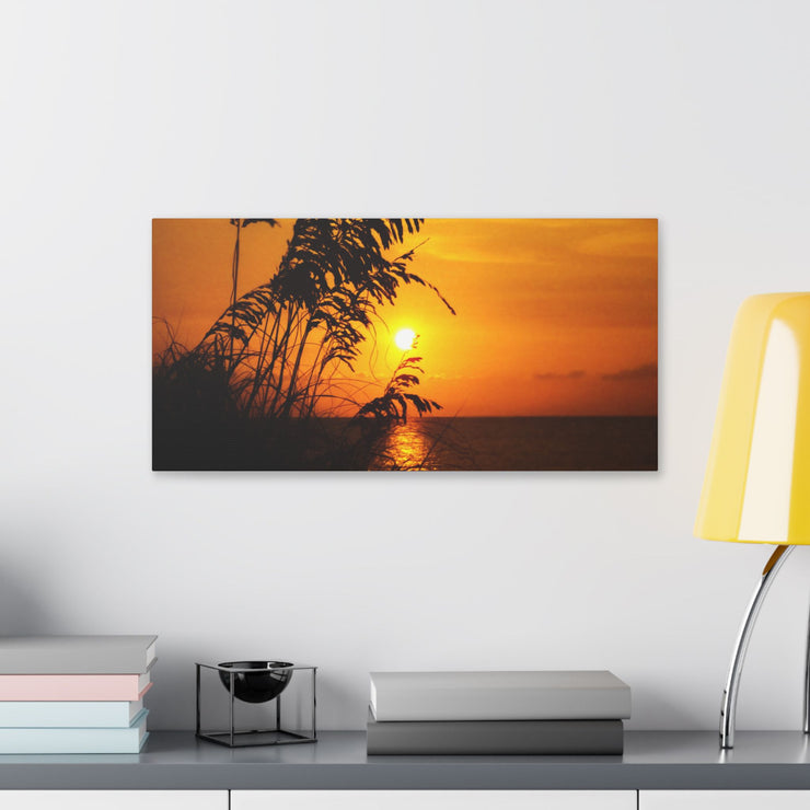 Beach Sunset Sea Oats - Classic Stretched Canvas-01 - Shore-n-Decor