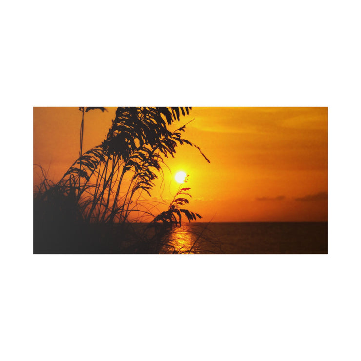 Beach Sunset Sea Oats - Classic Stretched Canvas-01 - Shore-n-Decor