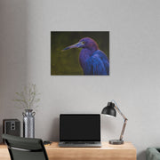 Night Heron - Classic Stretched Canvas-01 - Shore-n-Decor