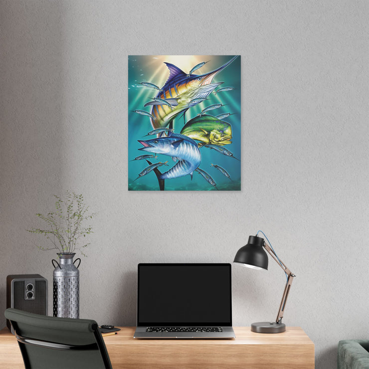 Sport Fish - Classic Stretched Canvas-01 - Shore-n-Decor