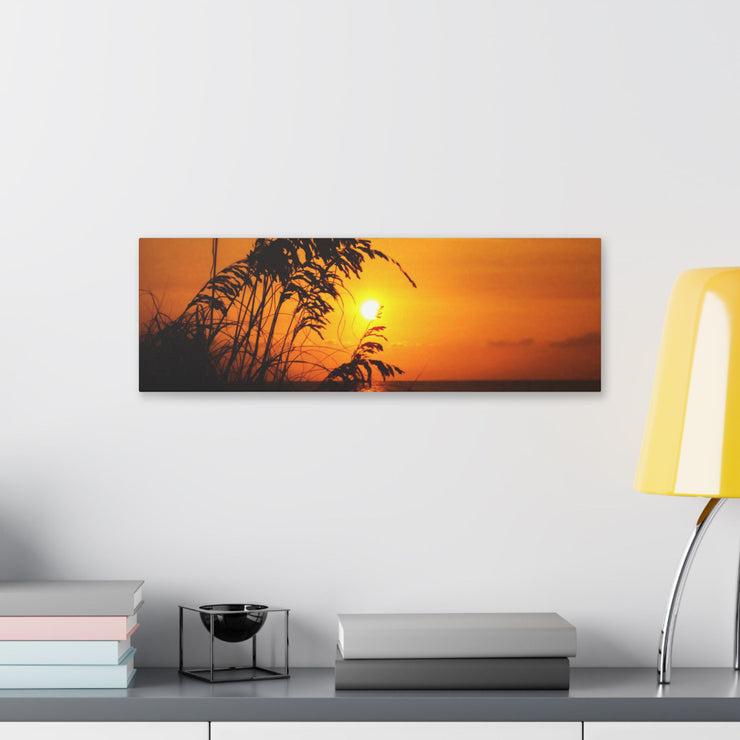 Beach Sunset Sea Oats - Classic Stretched Canvas-01 - Shore-n-Decor