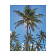 Palm Trees - Classic Stretched Canvas-01 - Shore-n-Decor