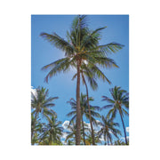 Palm Trees - Classic Stretched Canvas-01 - Shore-n-Decor