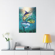 Sport Fish - Classic Stretched Canvas-01 - Shore-n-Decor