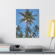 Palm Trees - Classic Stretched Canvas-01 - Shore-n-Decor