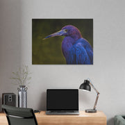 Night Heron - Classic Stretched Canvas-01 - Shore-n-Decor