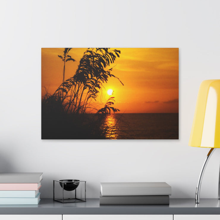 Beach Sunset Sea Oats - Classic Stretched Canvas-01 - Shore-n-Decor