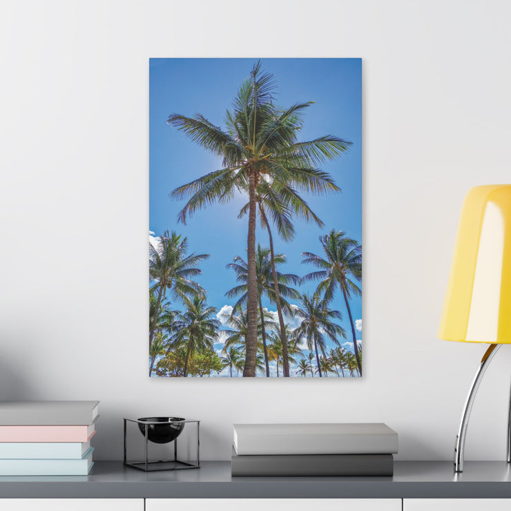 Palm Trees - Classic Stretched Canvas-01 - Shore-n-Decor