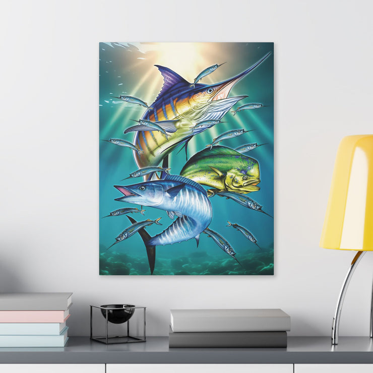 Sport Fish - Classic Stretched Canvas-01 - Shore-n-Decor