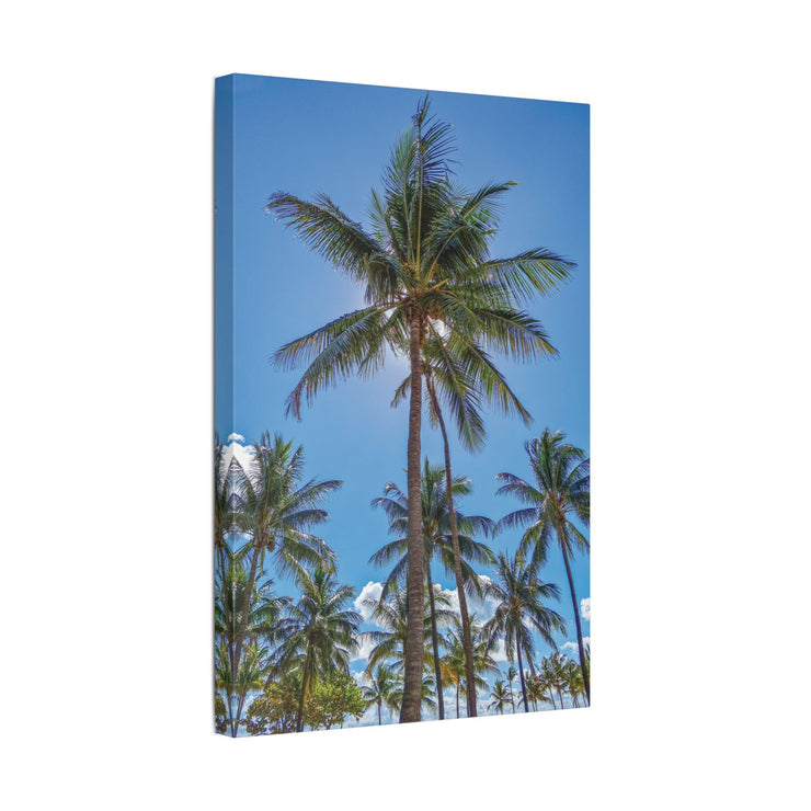 Palm Trees - Classic Stretched Canvas-01 - Shore-n-Decor