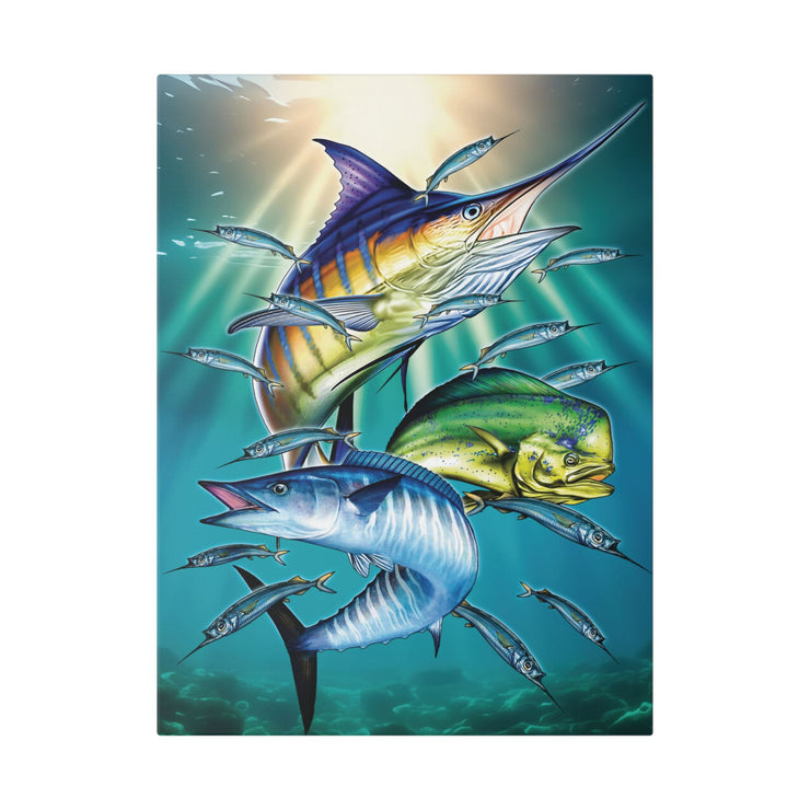 Sport Fish - Classic Stretched Canvas-01 - Shore-n-Decor