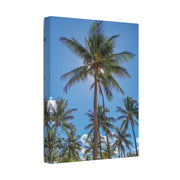 Palm Trees - Classic Stretched Canvas-01 - Shore-n-Decor