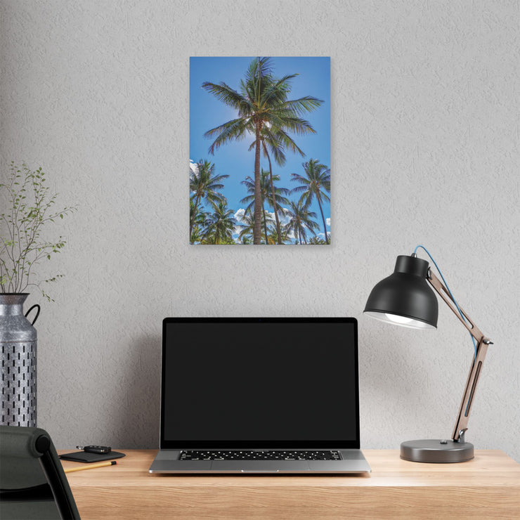 Palm Trees - Classic Stretched Canvas-01 - Shore-n-Decor