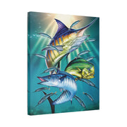 Sport Fish - Classic Stretched Canvas-01 - Shore-n-Decor