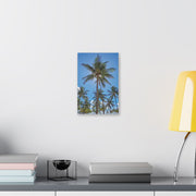 Palm Trees - Classic Stretched Canvas-01 - Shore-n-Decor