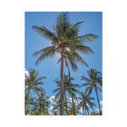 Palm Trees - Classic Stretched Canvas-01 - Shore-n-Decor