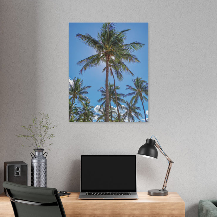 Palm Trees - Classic Stretched Canvas-01 - Shore-n-Decor