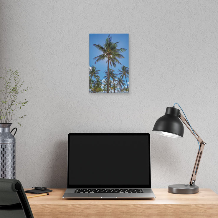 Palm Trees - Classic Stretched Canvas-01 - Shore-n-Decor