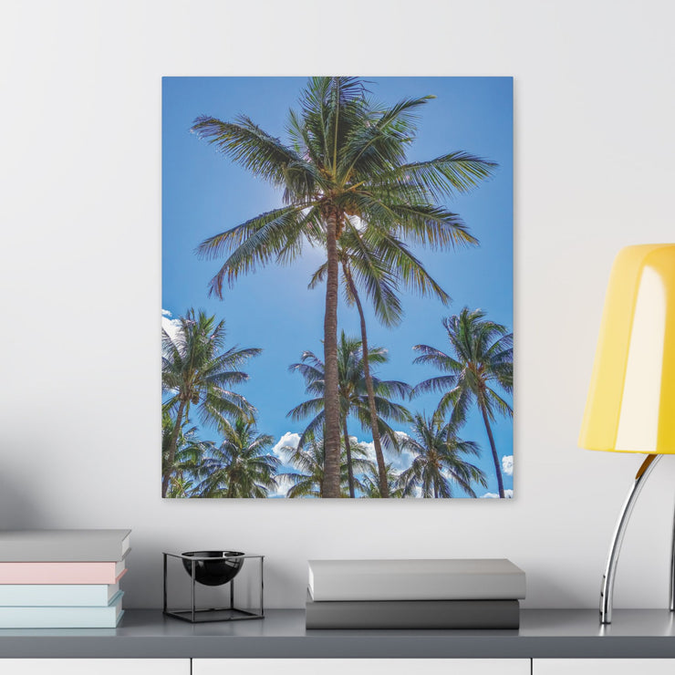 Palm Trees - Classic Stretched Canvas-01 - Shore-n-Decor