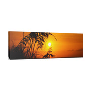 Beach Sunset Sea Oats - Classic Stretched Canvas-01 - Shore-n-Decor