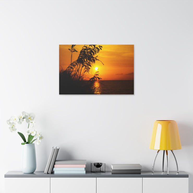 Beach Sunset Sea Oats - Classic Stretched Canvas-01 - Shore-n-Decor