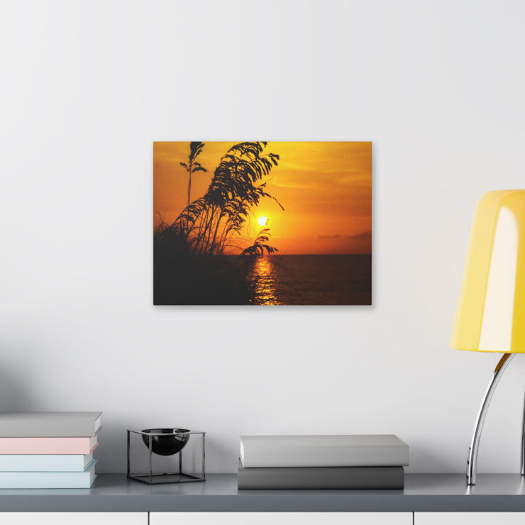 Beach Sunset Sea Oats - Classic Stretched Canvas-01 - Shore-n-Decor