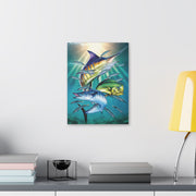 Sport Fish - Classic Stretched Canvas-01 - Shore-n-Decor