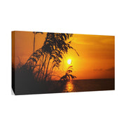 Beach Sunset Sea Oats - Classic Stretched Canvas-01 - Shore-n-Decor