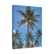 Palm Trees - Classic Stretched Canvas-01 - Shore-n-Decor