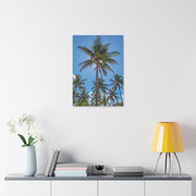 Palm Trees - Classic Stretched Canvas-01 - Shore-n-Decor