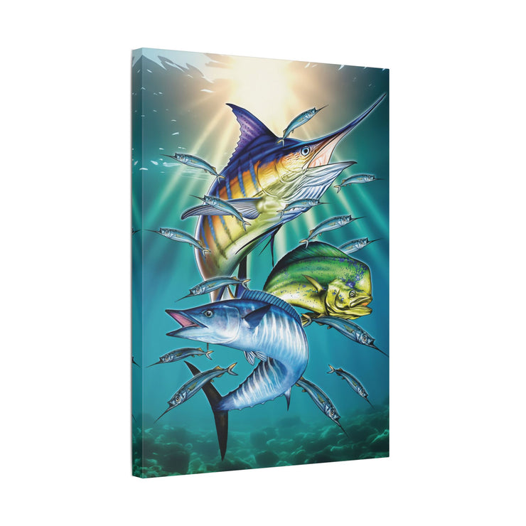 Sport Fish - Classic Stretched Canvas-01 - Shore-n-Decor