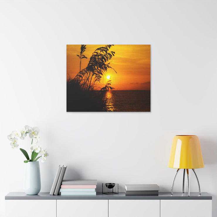 Beach Sunset Sea Oats - Classic Stretched Canvas-01 - Shore-n-Decor