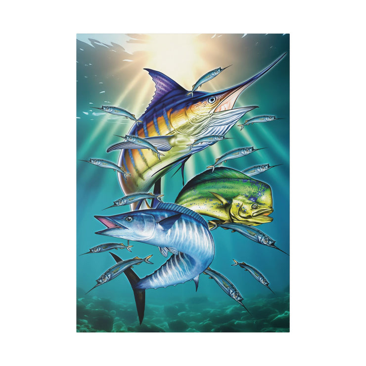 Sport Fish - Classic Stretched Canvas-01 - Shore-n-Decor