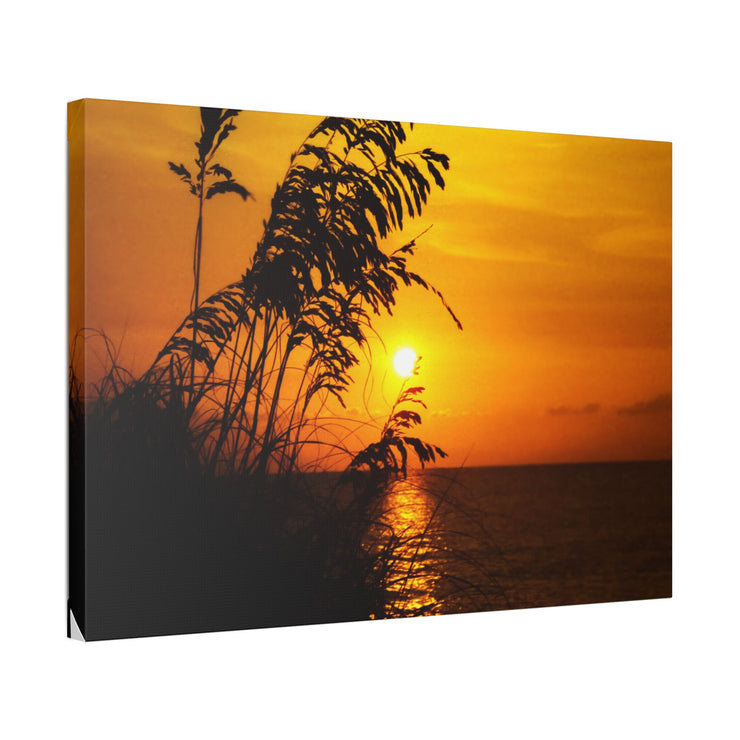 Beach Sunset Sea Oats - Classic Stretched Canvas-01 - Shore-n-Decor