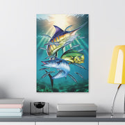 Sport Fish - Classic Stretched Canvas-01 - Shore-n-Decor