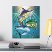 Sport Fish - Classic Stretched Canvas-01 - Shore-n-Decor