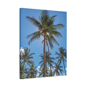 Palm Trees - Classic Stretched Canvas-01 - Shore-n-Decor